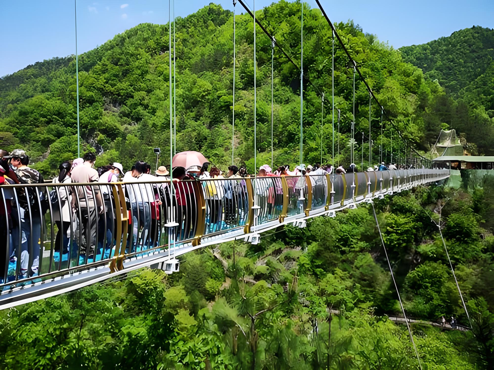 景区客流统计系统精准管理游客数量，提升游览体验